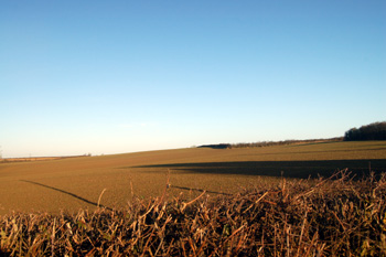 Looking from Mill Road to the site of the medieval windmill December 2008